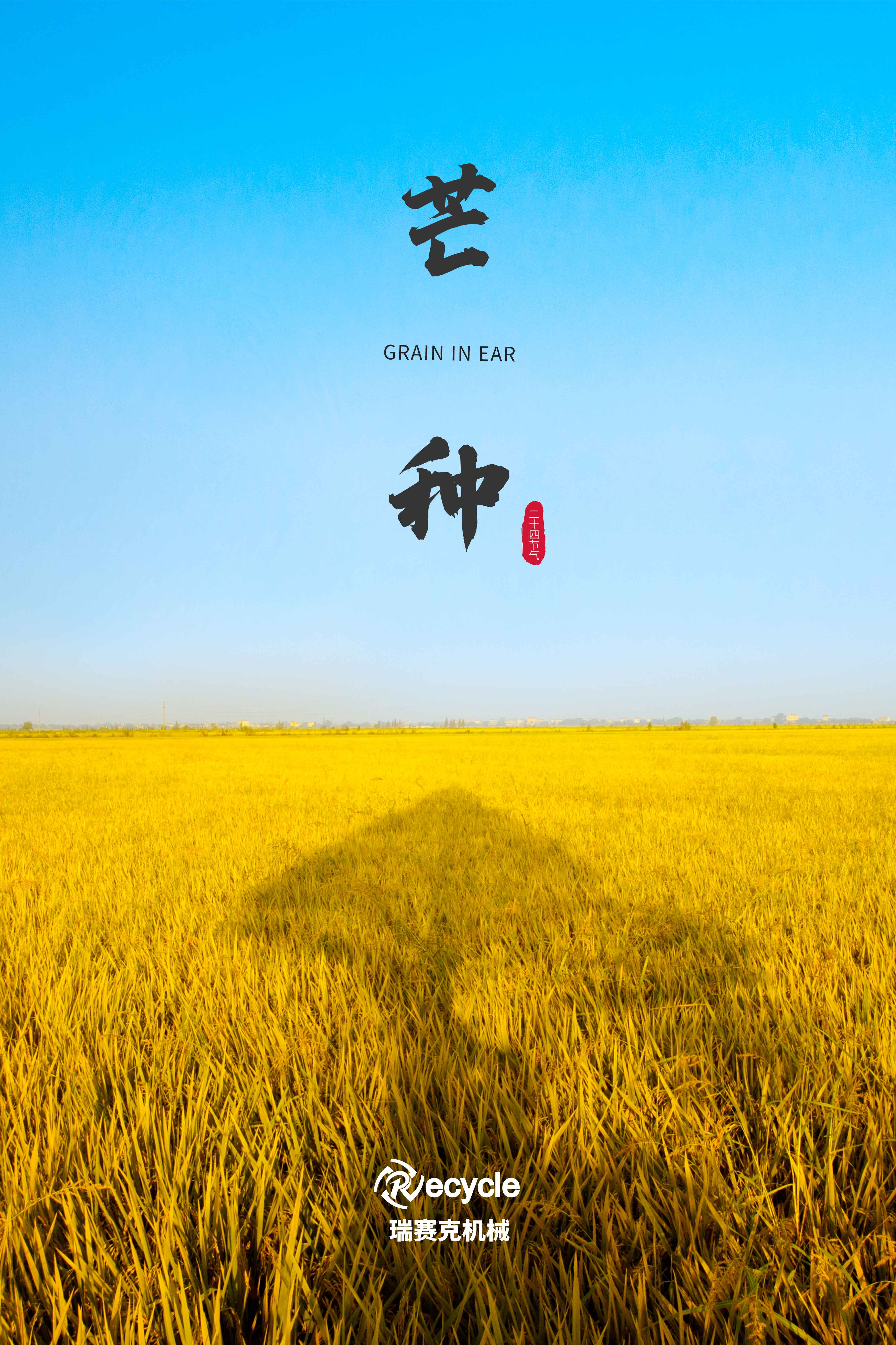 芒種